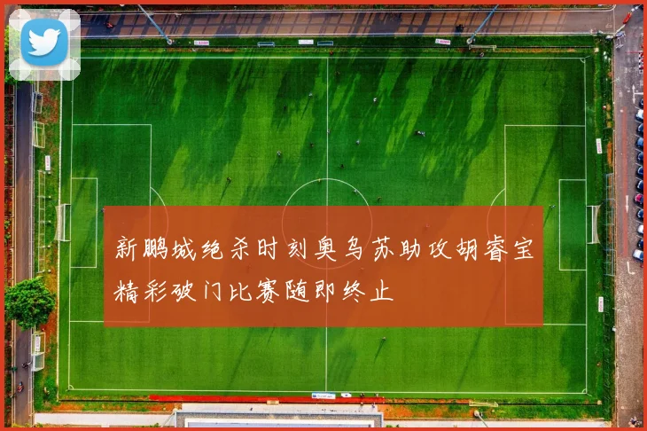 新鹏城绝杀时刻奥乌苏助攻胡睿宝精彩破门比赛随即终止