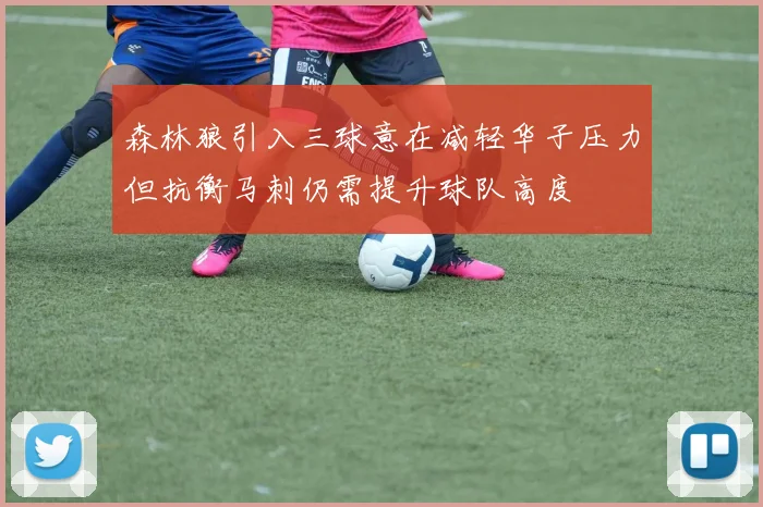 森林狼引入三球意在减轻华子压力但抗衡马刺仍需提升球队高度