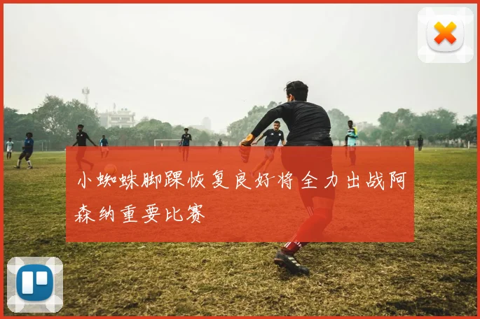 小蜘蛛脚踝恢复良好将全力出战阿森纳重要比赛